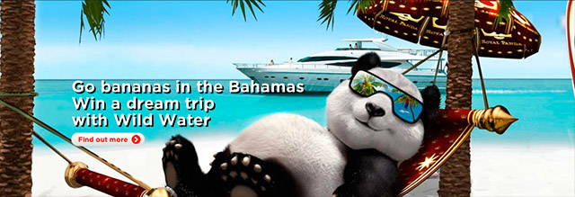 Win a trip to the bahamas